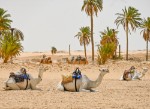 Poznávací okruh Tuniskem z pevniny na Djerbu - Sahara