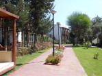 Zahrada
