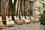 a Wellness