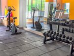 Fitness