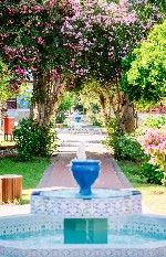 Zahrada