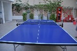 Pingpong