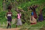 Hotel Uganda – zelená perla Afriky dovolená