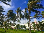 Hotel Florida - Miami tropický ráj s příchutí Karibiku dovolená