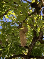 Hotel MIAMI BEACH - pobyt u moře s výlety dovolená