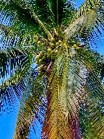 Hotel MIAMI BEACH - pobyt u moře s výlety dovolená