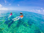 potápění na Key Westu