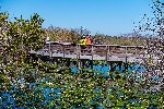 NP_Everglades_klienti_florida_spurek(7).jpg