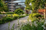 New_York_High_Line_park.jpg