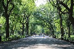 New York Central Park