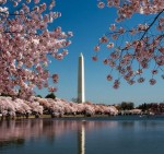 Washington - Washingtonův památník