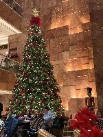 Hotel Předvánoční New York dovolená