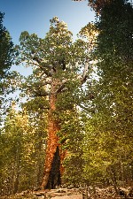 Hotel To nejlepší z USA - 20 denní dovolená