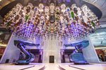 Zábava na lodi Quantum of the Seas