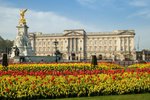 Londyn_jaro_Buckingham_Palace.jpg