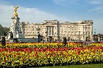 Londyn_jaro_Buckingham_Palace.jpg