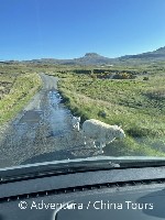 Hotel Skotsko divoké a krásné dovolená