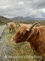 Hotel Skotsko divoké a krásné dovolená