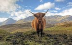 Hotel SKOTSKO – HIGHLANDS, PO STOPÁCH OUTLANDERU dovolená