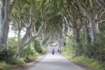 Severni_Irsko_bukova_alej_Dark_Hedges.jpg