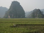 vietnam 562