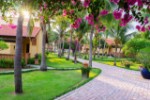 Hotel Pandanus Resort dovolená
