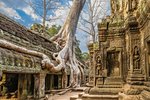 Ta prohm Angkor