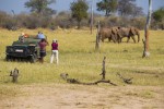 Hotel Ztracený svět - velké safari v Zimbabwe dovolená