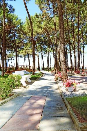 Diamma Resort 4* (4*)