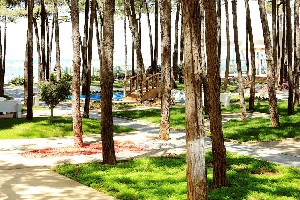 Diamma Resort 4* (4*)