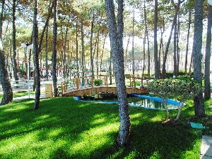 Diamma Resort 4* (4*)