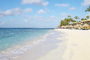 Hotel DIVI DUTCH VILLAGE BEACH RESORT wakacje