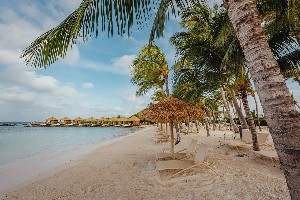 Hotel RENAISSANCE WIND CREEK ARUBA RESORT wakacje
