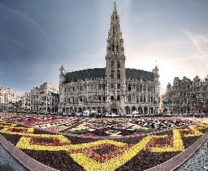 Květinový koberec v Bruselu