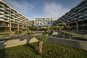 inner cortyard