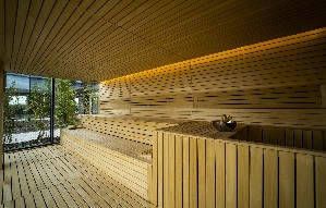 Spa and wellness