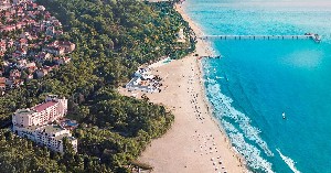 Beach bird view