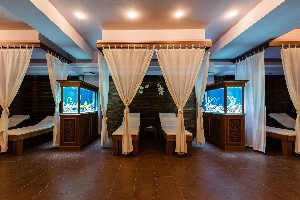 Spa and wellness