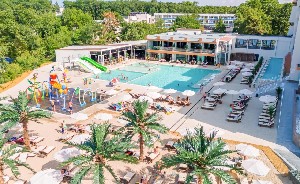 Hotel PALMS BEACH wakacje
