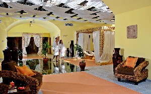 Spa and wellness