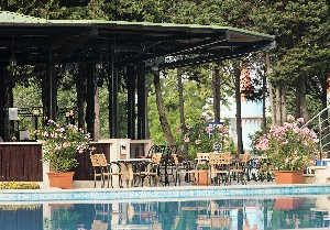 Pool Bar