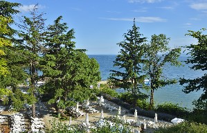 Beachfront Terrace