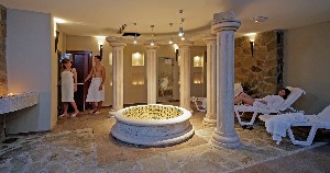 Spa and wellness