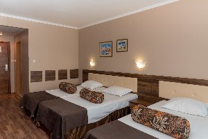 Triple Standard Room (Balcony) 