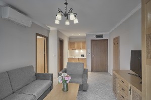 1 Bedroom Apartment (Park View, Balcony)