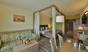 Double Deluxe Studio (Balcony)