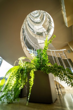 Hotel interior