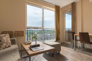 1 bedroom MV apt - living room