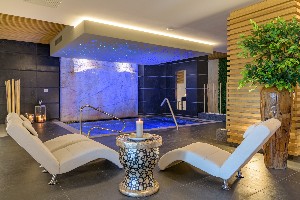 Spa and wellness