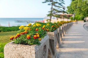 walk by the sea